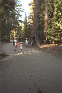 small_9107 1260 yosemite etc IMG0037.webp